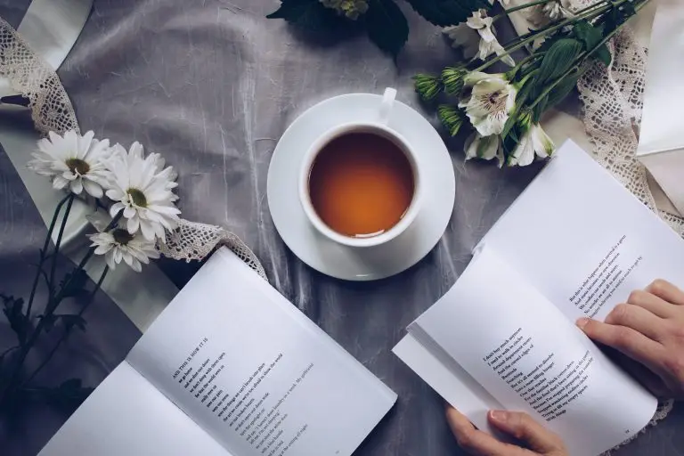 French poems