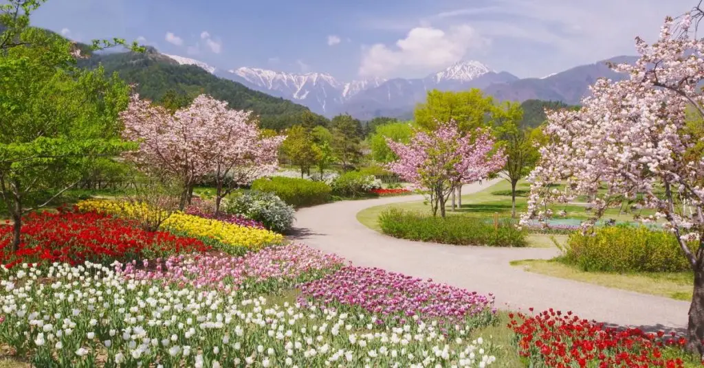 Spring Vocabulary in Spanish
