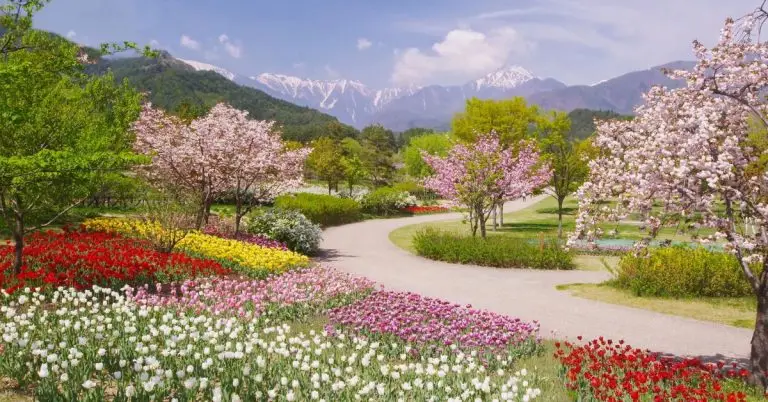 Spring Vocabulary in Spanish