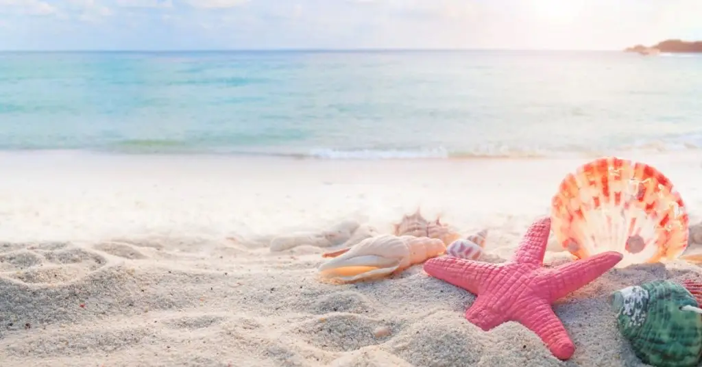 Summer Vocabulary in Spanish