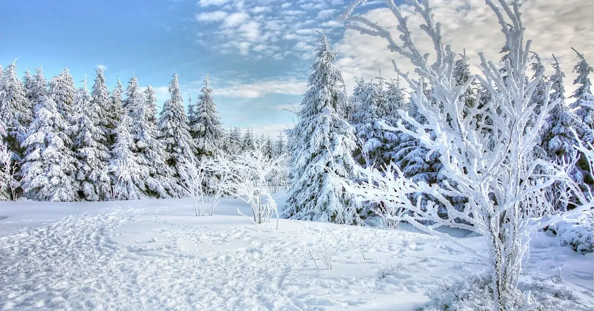 Winter vocabulary in Spanish