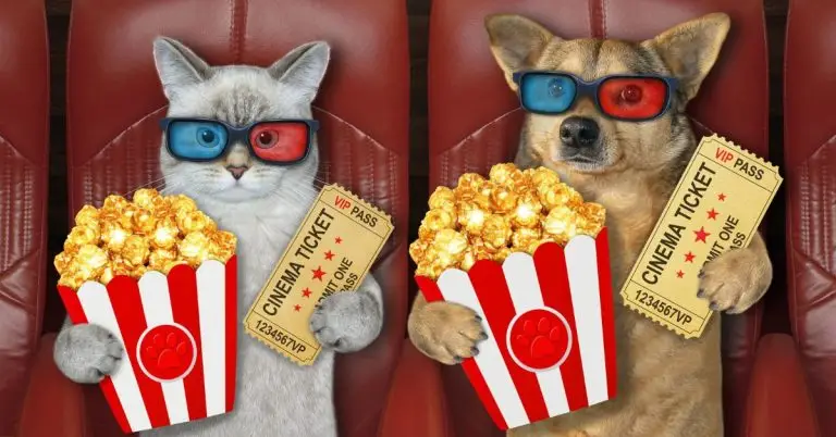 Italian Movies