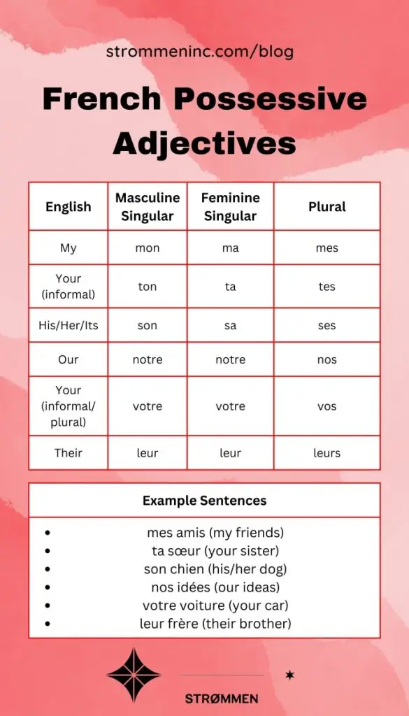 French Possessive Adjectives