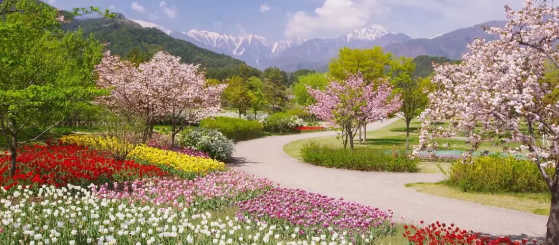 Spring Vocabulary in Spanish