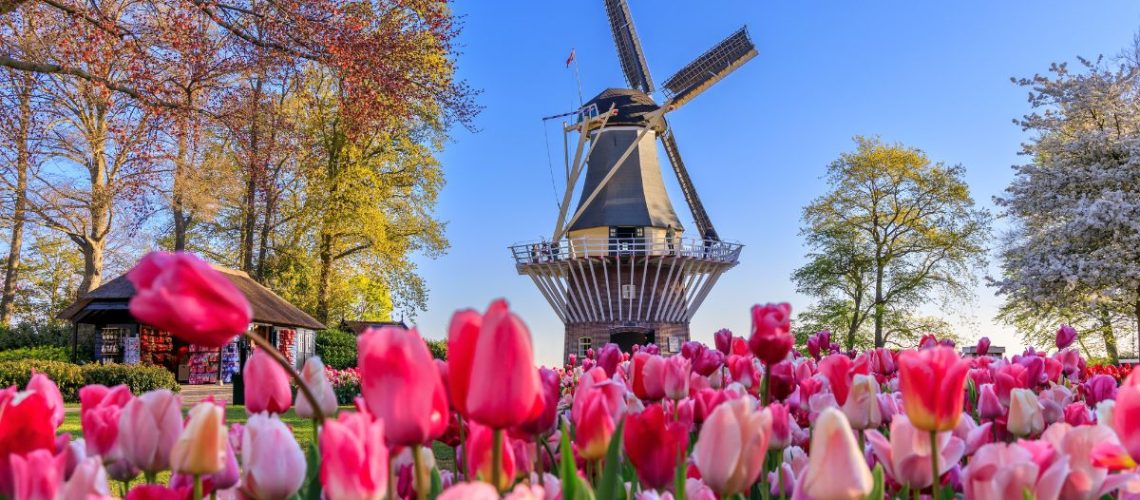 the 1,000 Most Common Dutch Words The 1,000 Most Common Dutch Words